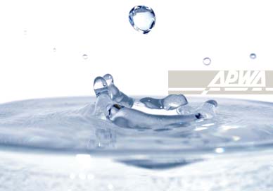 Environment Bio-Solutions