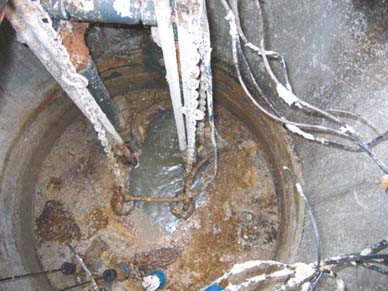 Environmental Bio-Solutions